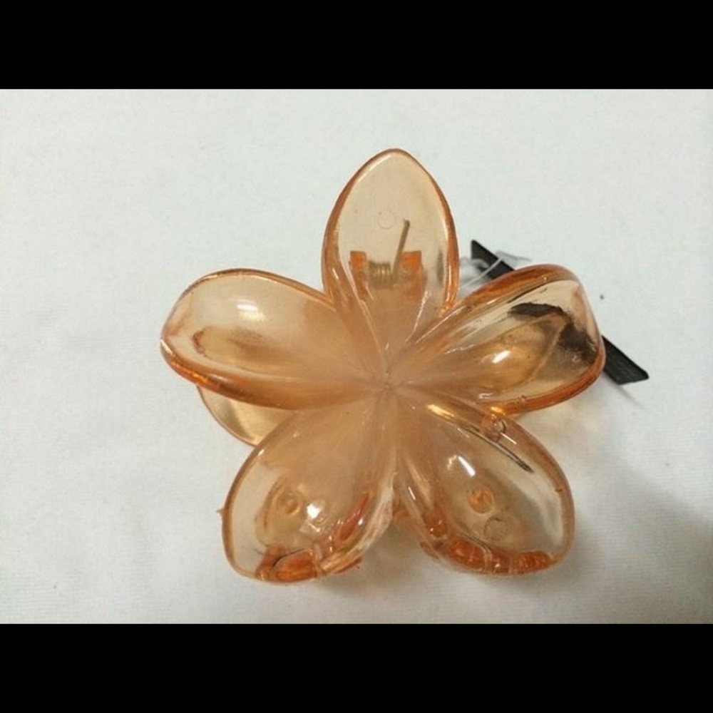 12 Hair Clips